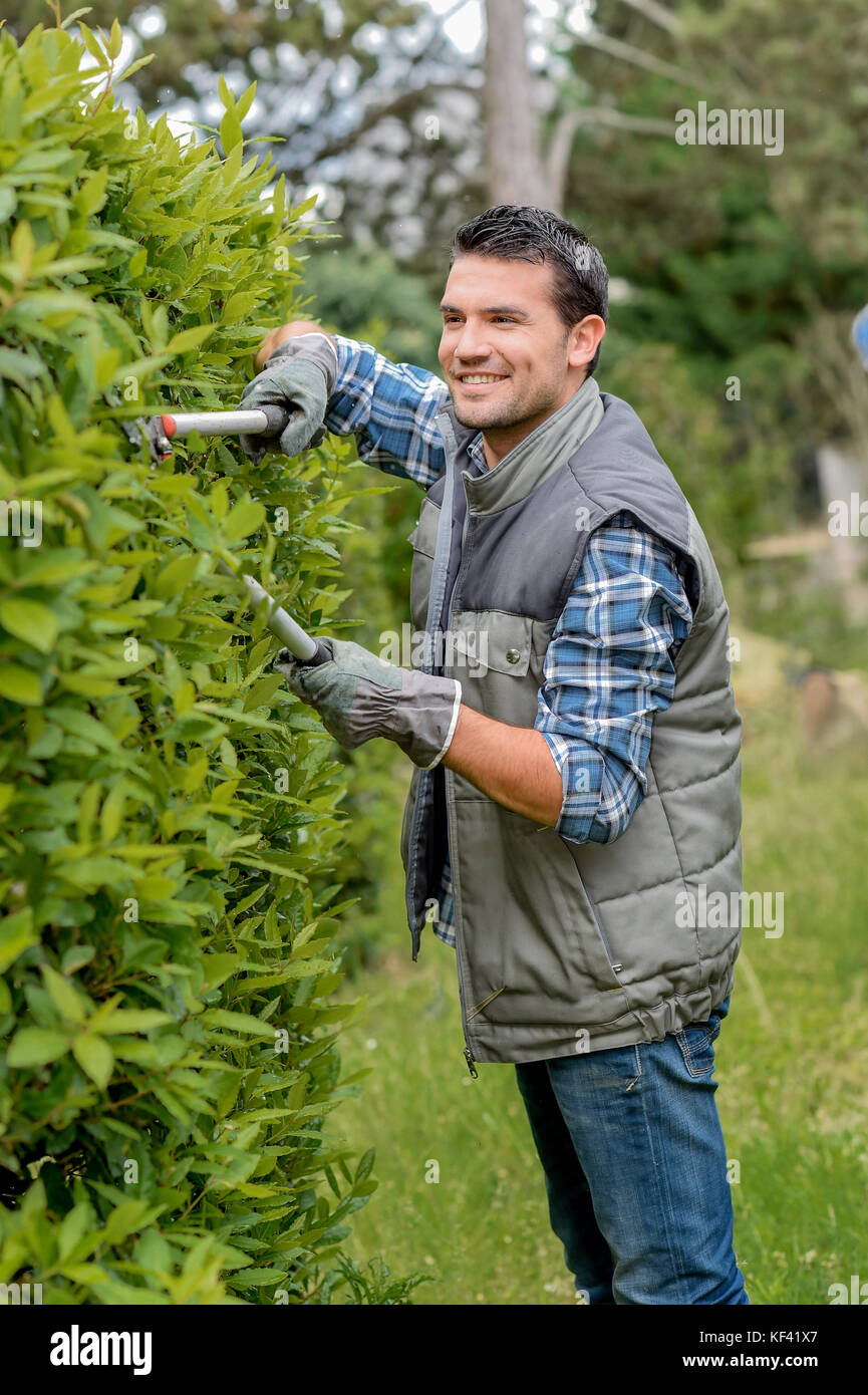 Junge Gärtner Schneiden der Hecke Stockfotografie Alamy