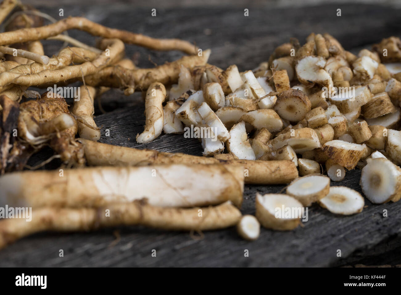 Wegwarte-Wurzel, Wegwarten-Wurzel, Wurzel, Wurzeln, Wurzelernte, Wurzeln von Wegwarte, Zichorienkaffee, Muckefuck, Ersatzkaffee, Wurzelkaffee, Kaffee, Stockfoto