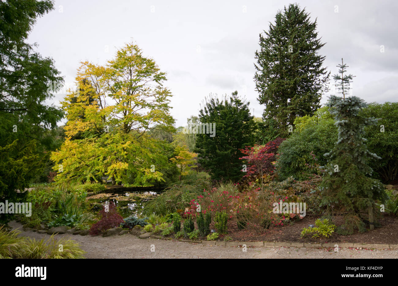 Herbst in Harlow Carr Gärten Stockfoto