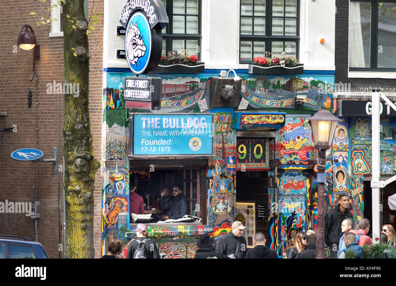 Der Stier Hund Coffee Shops im Rotlichtviertel, Amsterdam, Niederlande Stockfoto