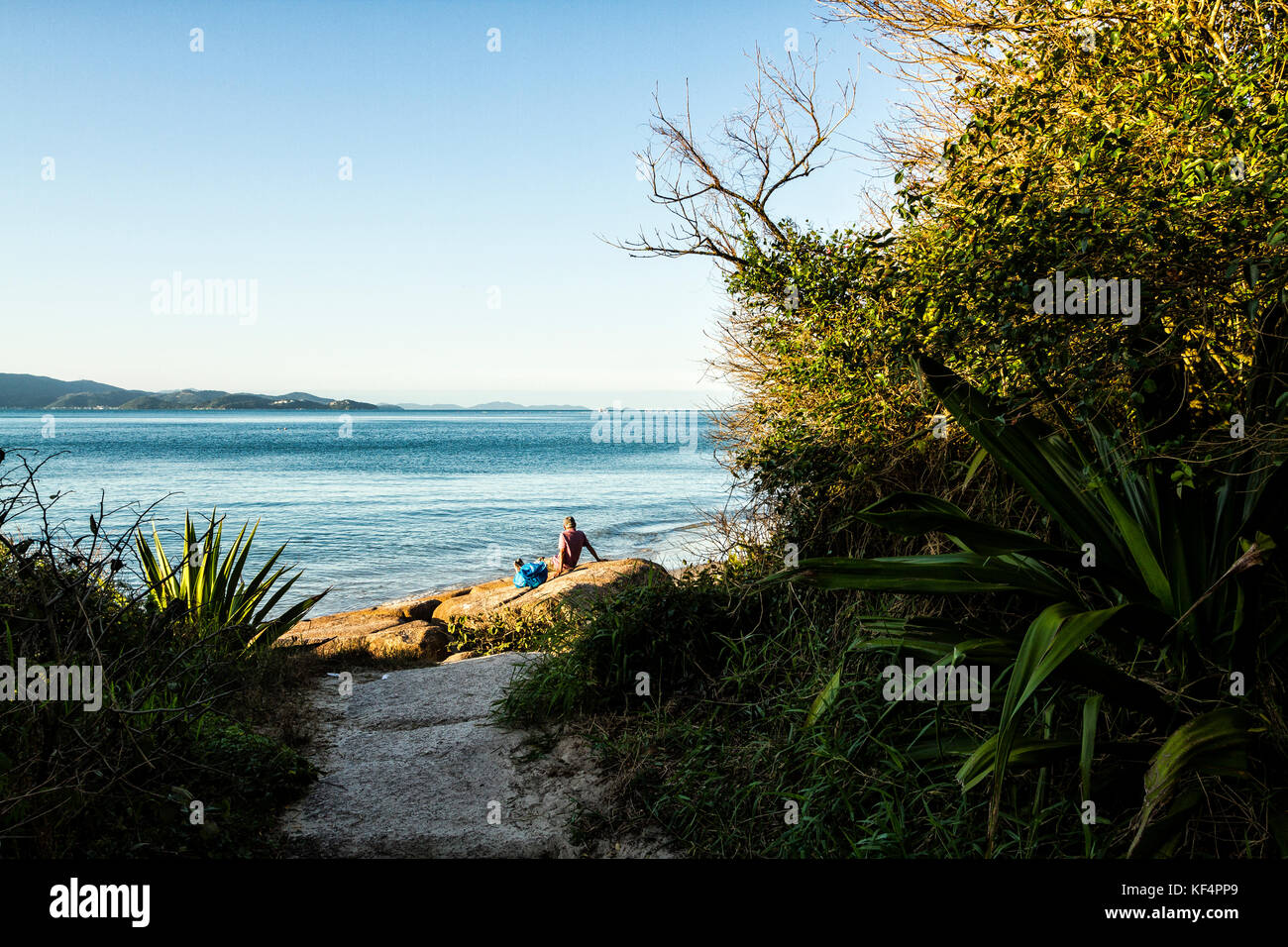 Rückansicht eines Mannes, der auf einem Felsen am Daniela Beach sitzt. Florianopolis, Santa Catarina, Brasilien. Stockfoto