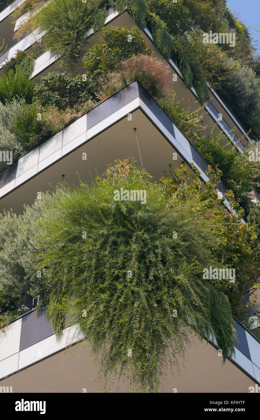 Detail eines der Bosco Verticale Türme (Architekt Boeri) mit Pflanzen und Bäumen auf Balkonen, Porta Nuova Bezirk, Mailand, Italien Stockfoto