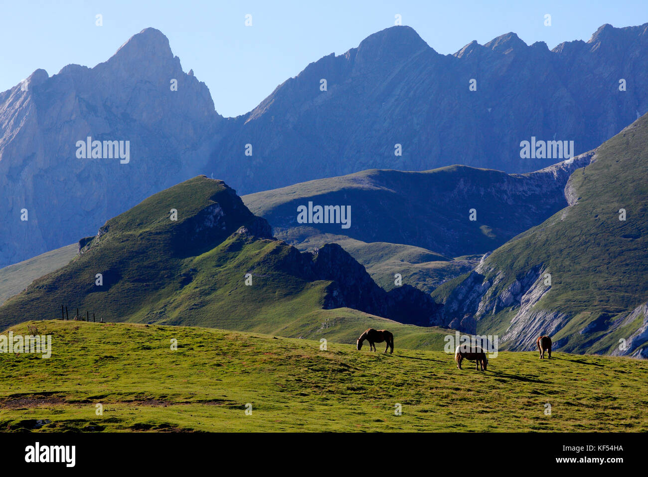 Frankreich, Languedoc-Roussillon, Pyrenees Atlantiques nouvelle Abteilung (64), bearn Land, Ossau Tal, Aubisque Pass, Grand gabizos pic Stockfoto