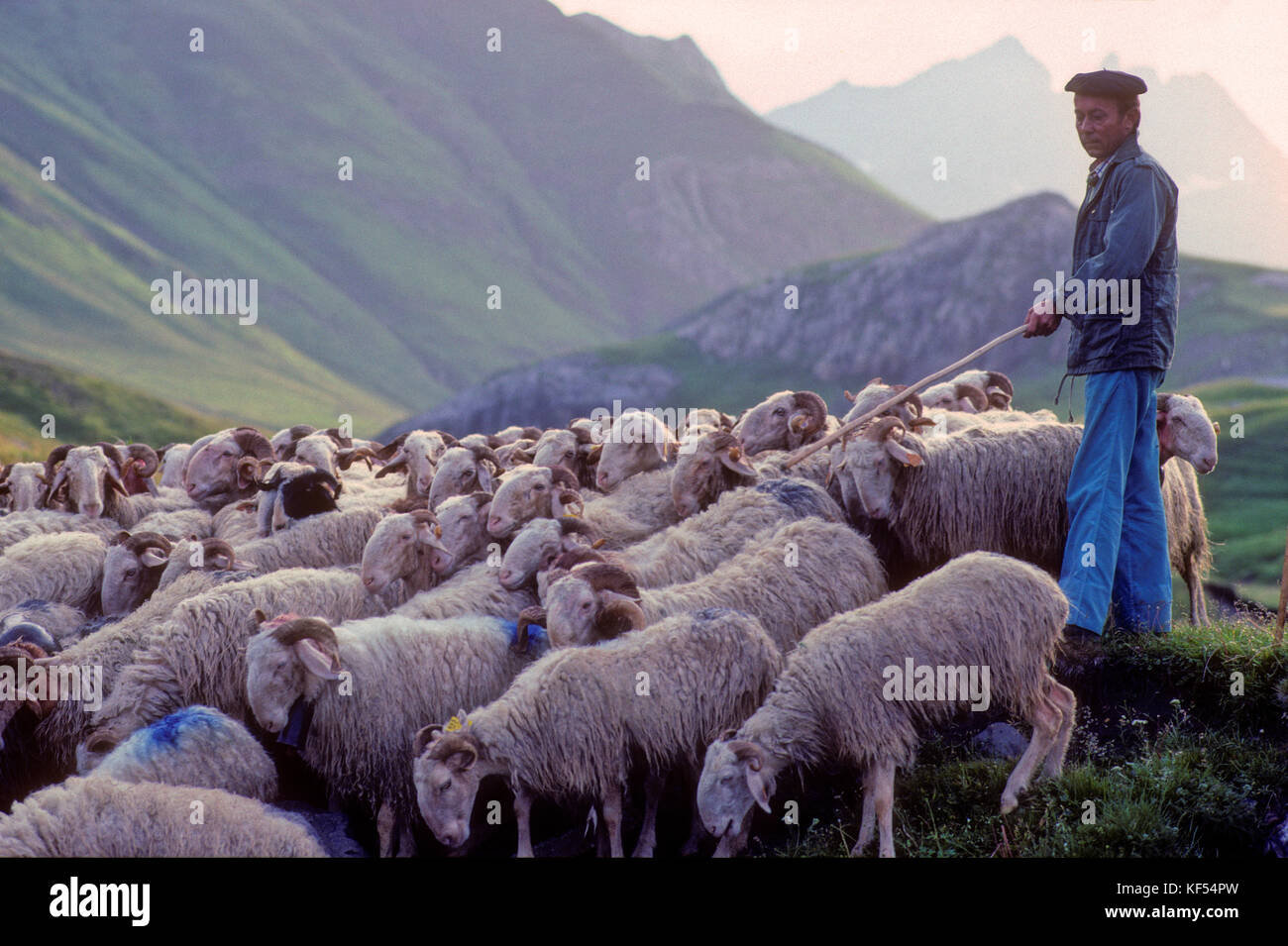 Frankreich, Languedoc-Roussillon, Pyrenees Atlantiques nouvelle Abteilung (64), bearn Land, Nationalpark der Pyrenäen in der Nähe von pourtalet montain Pass (aneou Kreis) Stockfoto