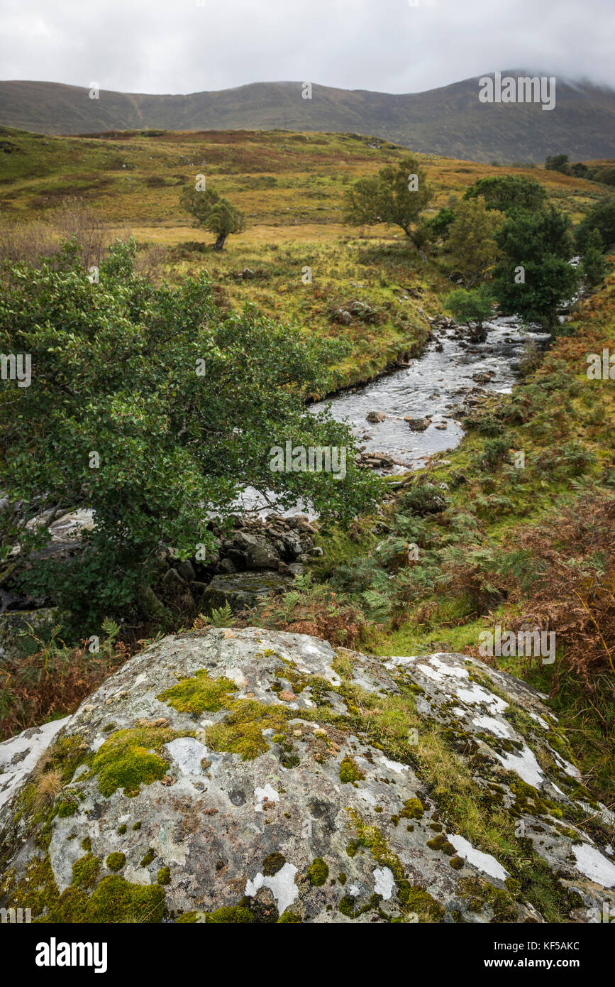 Möglich Alte Schale - markierten Stein in der Nähe von Loch Naver, Scottish Highlands, Großbritannien Stockfoto