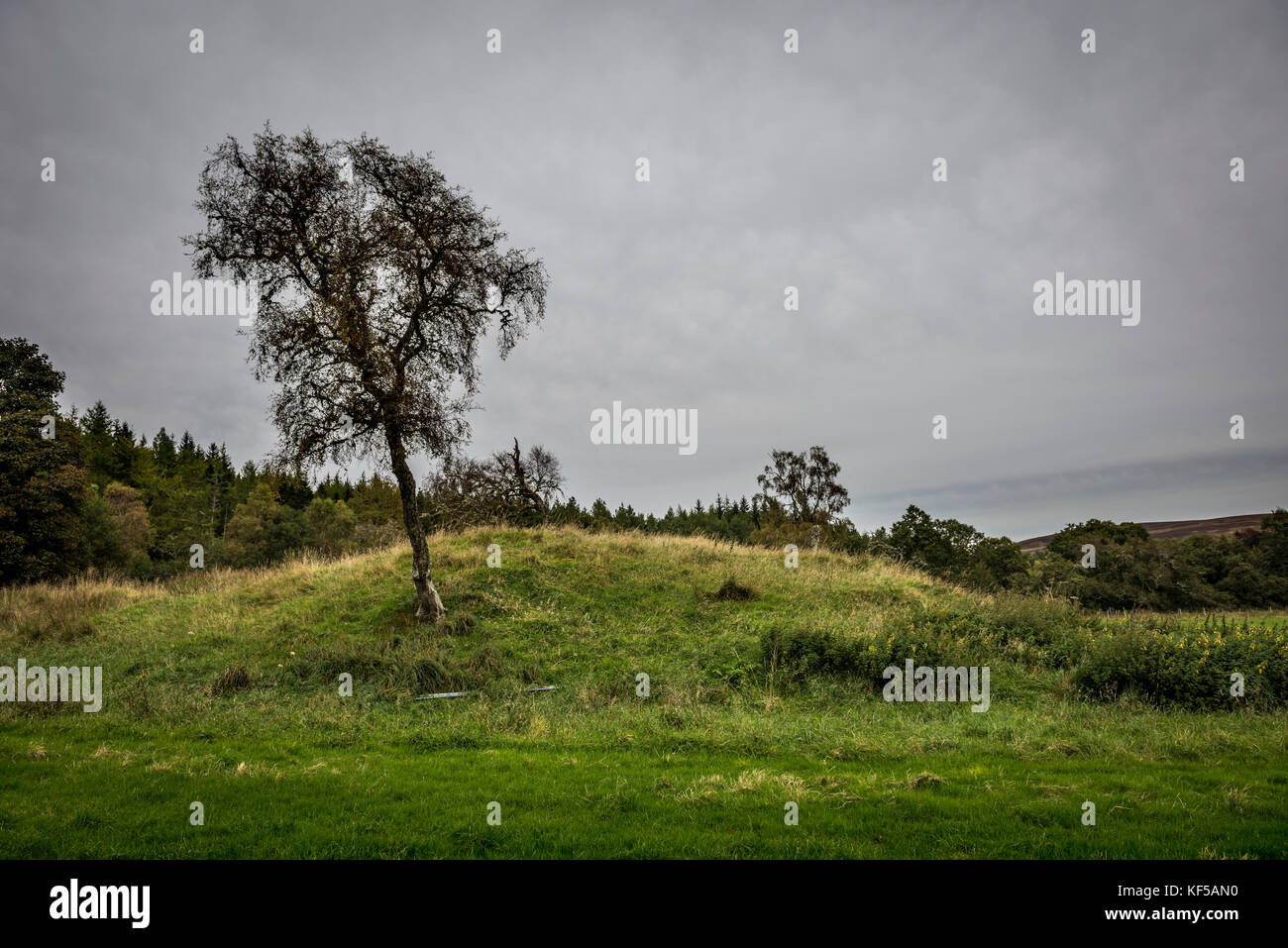 Achany Neolithischen chambered Cairn nähe Strath Shin, Sutherland, Schottisches Hochland, Großbritannien Stockfoto