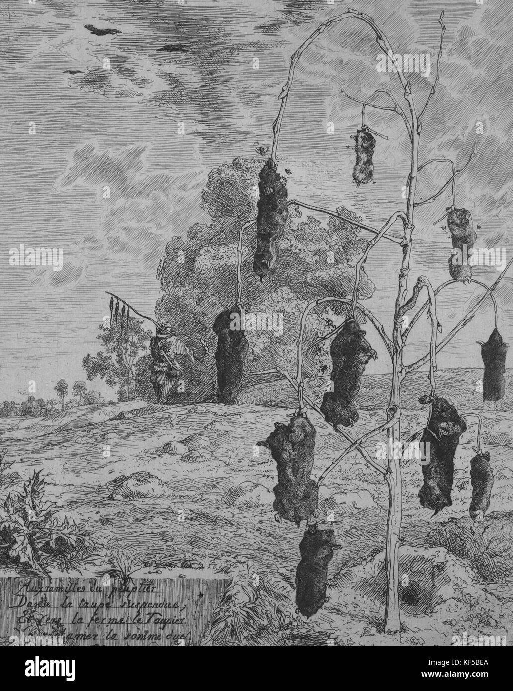 Sepia Zeichnung der Toten maulwürfe von blattlosen Baum in ländlicher Umgebung, 1867 hängen. Von der New York Public Library. () Stockfoto