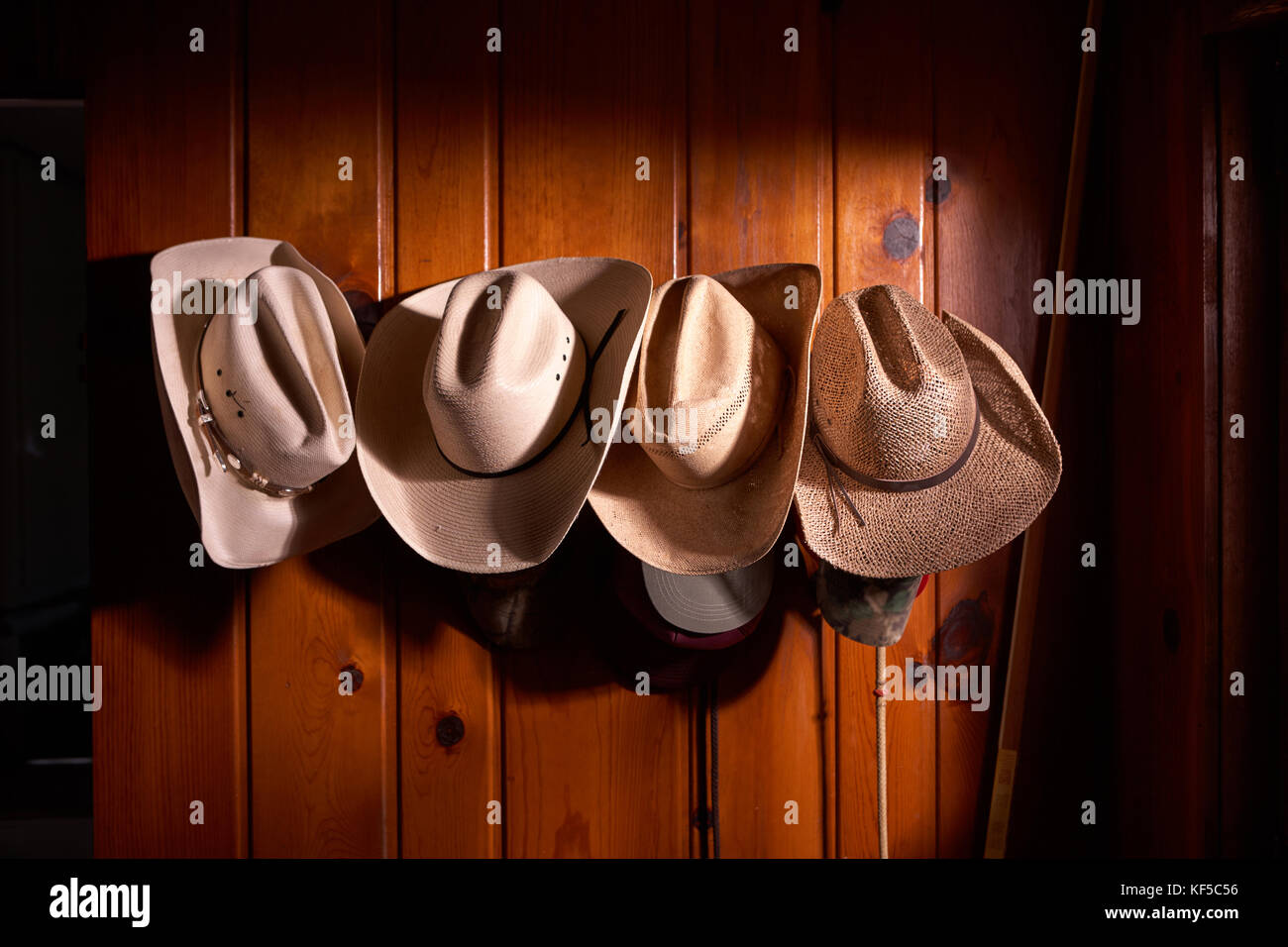 Vier cowboy Hüte in Reihe auf holzgetäfelten Wand aufgehängt  Stockfotografie - Alamy