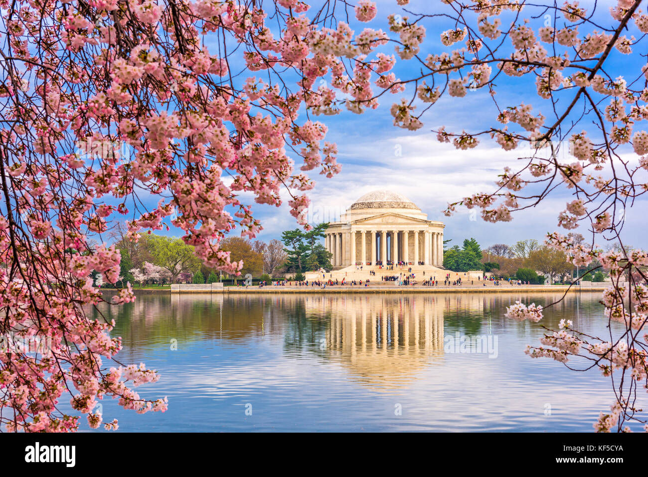 Washington, DC am Tidal Basin und Jefferson Memorial im Frühling. Stockfoto