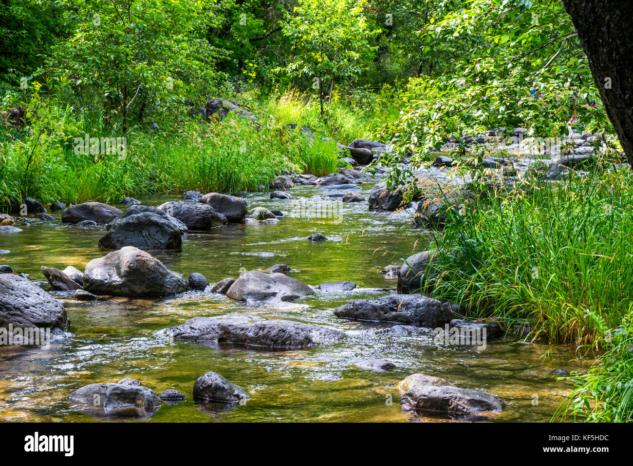 Oak Creek Canyon Stockfoto