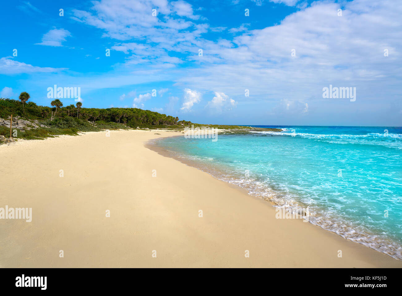 Cozumel Island Bush Strand in Riviera Maya von Maya Mexiko Stockfoto