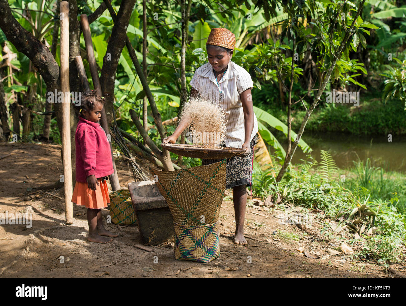 Frau Reinigung des Getreides, worfeln Reiskörner, ethnische Gruppe der betsimisaraka, ambavaniasy, Madagaskar Stockfoto