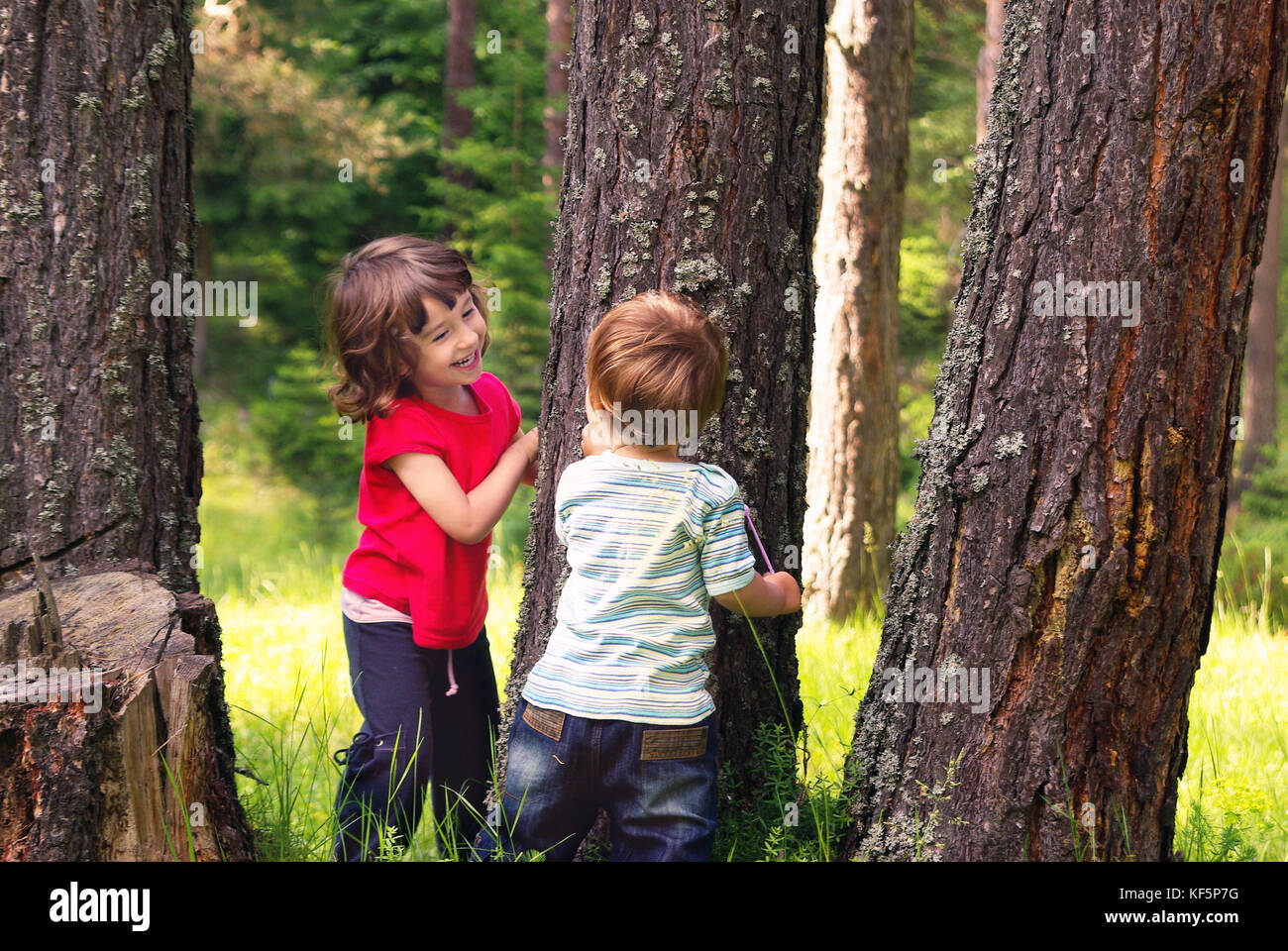 Zwei kleine Schwestern unter zehn Jahren spielen Verstecken und suchen an einem Baum draußen. Stockfoto