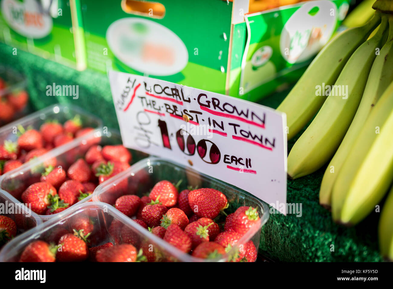 Nahaufnahme einer Hand schriftliche Zeichen auf einem englischen Marktstand vor Ort Angabe gewachsen, das Beste in der Stadt, nur £ 1,00 für Erdbeeren Stockfoto