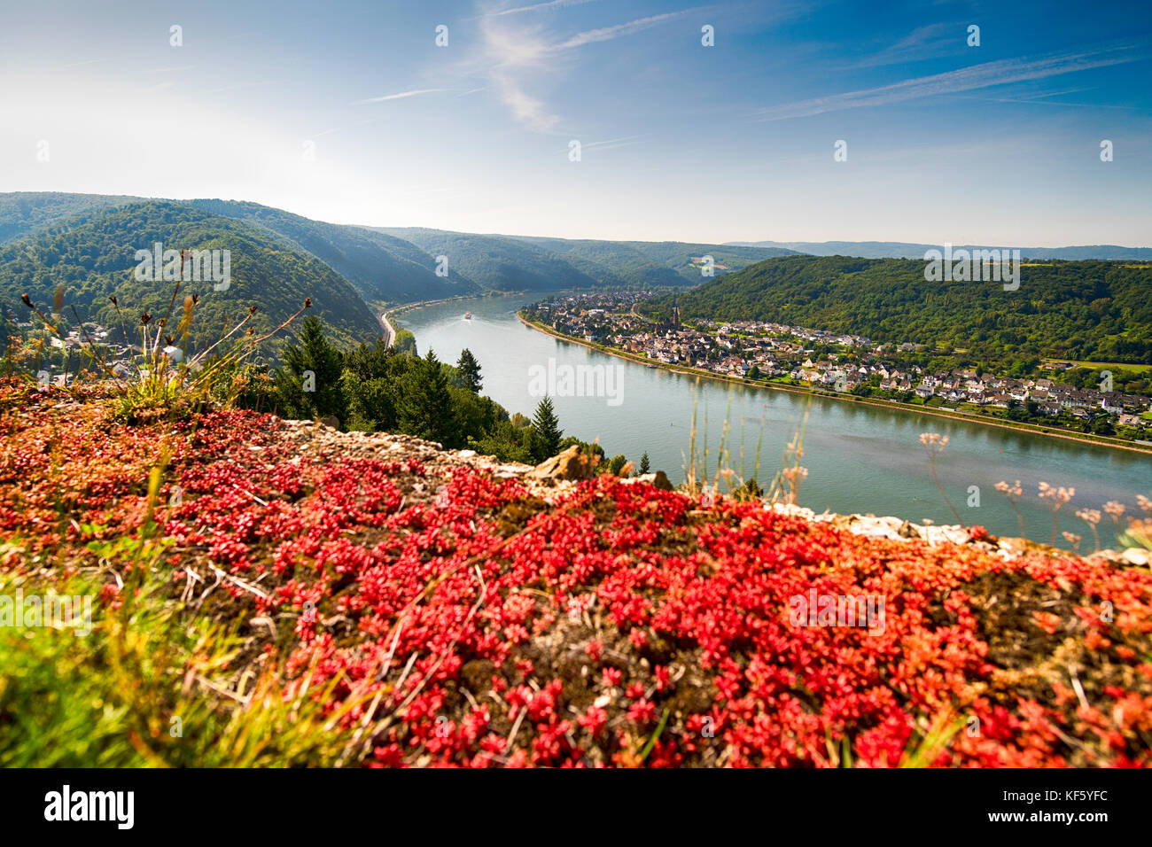 Fluss in Deutschland Stockfoto
