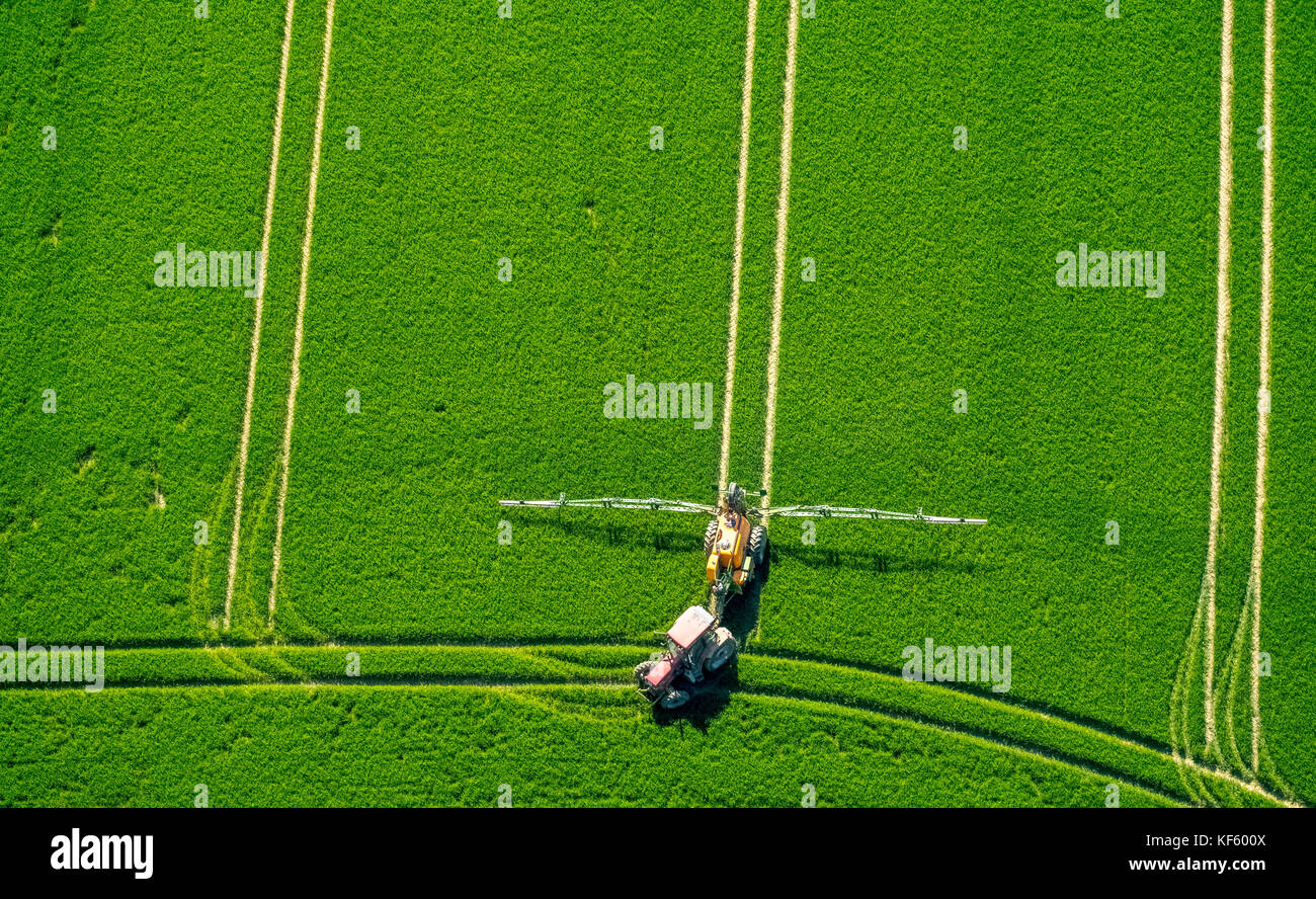 Träcker sprühte Pestizide auf ein grünes Maisfeld, Landwirtschaft, Warstein, Sauerland, Nordrhein-Westfalen, Deutschland, Europa, Aerial View, Aerial, aerial, aeri Stockfoto