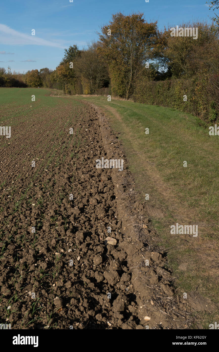 Feild Kante Stockfoto