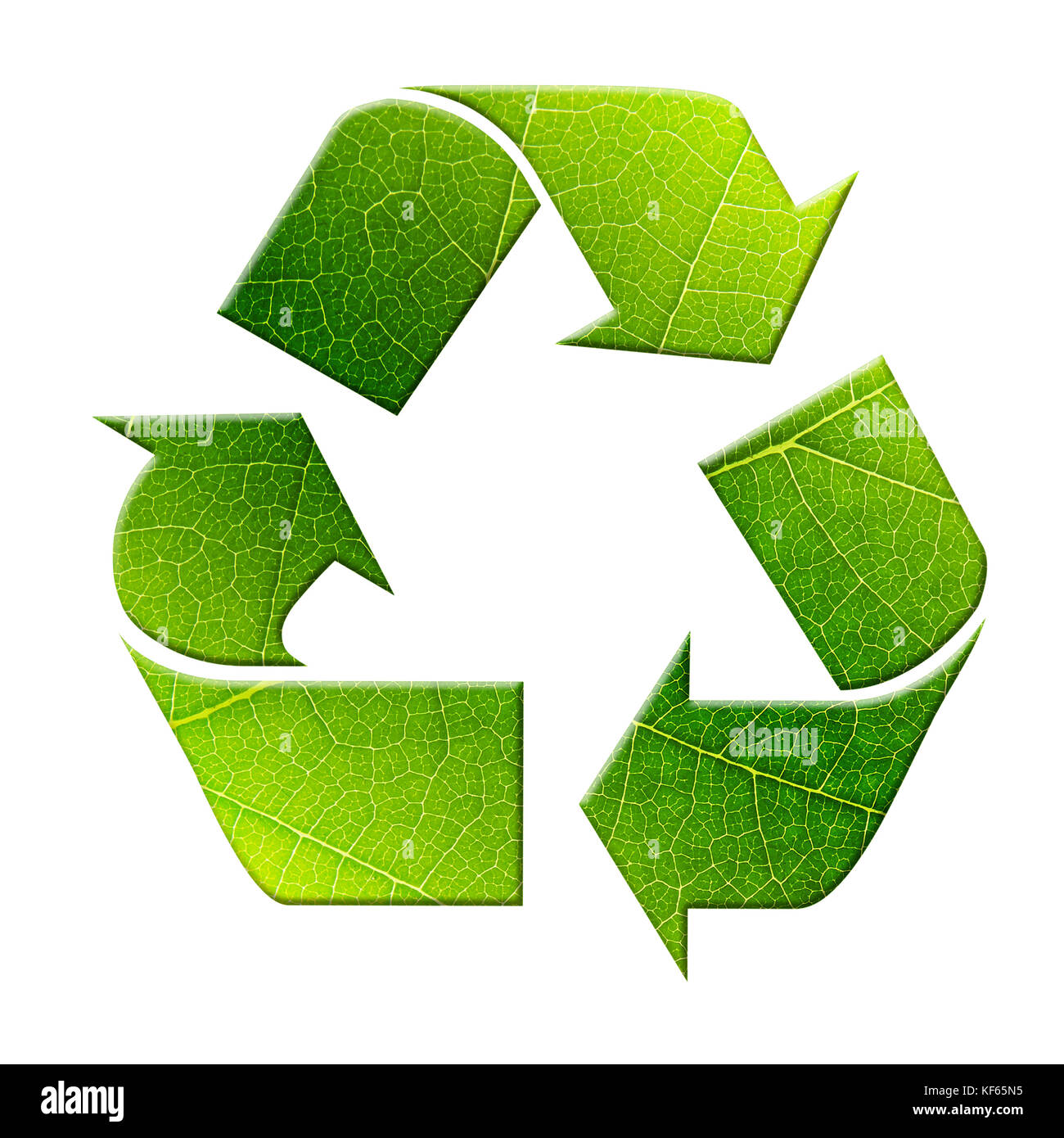 Grün, drei Recycling-pfeilzeichen mit überlagertem Baum Blattspreite auf weißem Hintergrund Stockfoto