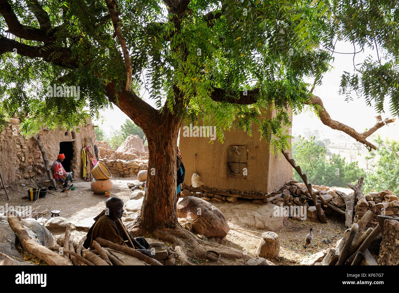 Land der Dogon in Mali, Dogon Village mit Ton Architektur an der Falaise, UNESCO-Weltkulturerbe, neem Baum/MALI, etwa 20 km von Bandiagara südoestlich verlaeuft die rund 200 km lange Falaise, UNESCO-Welterbe, eine teilweise stark erodierte Sandsteinwand bis zu 300m Höhe, hier befinden sich viele Dogon Doerfer im Lehmbau Illustr. Stockfoto