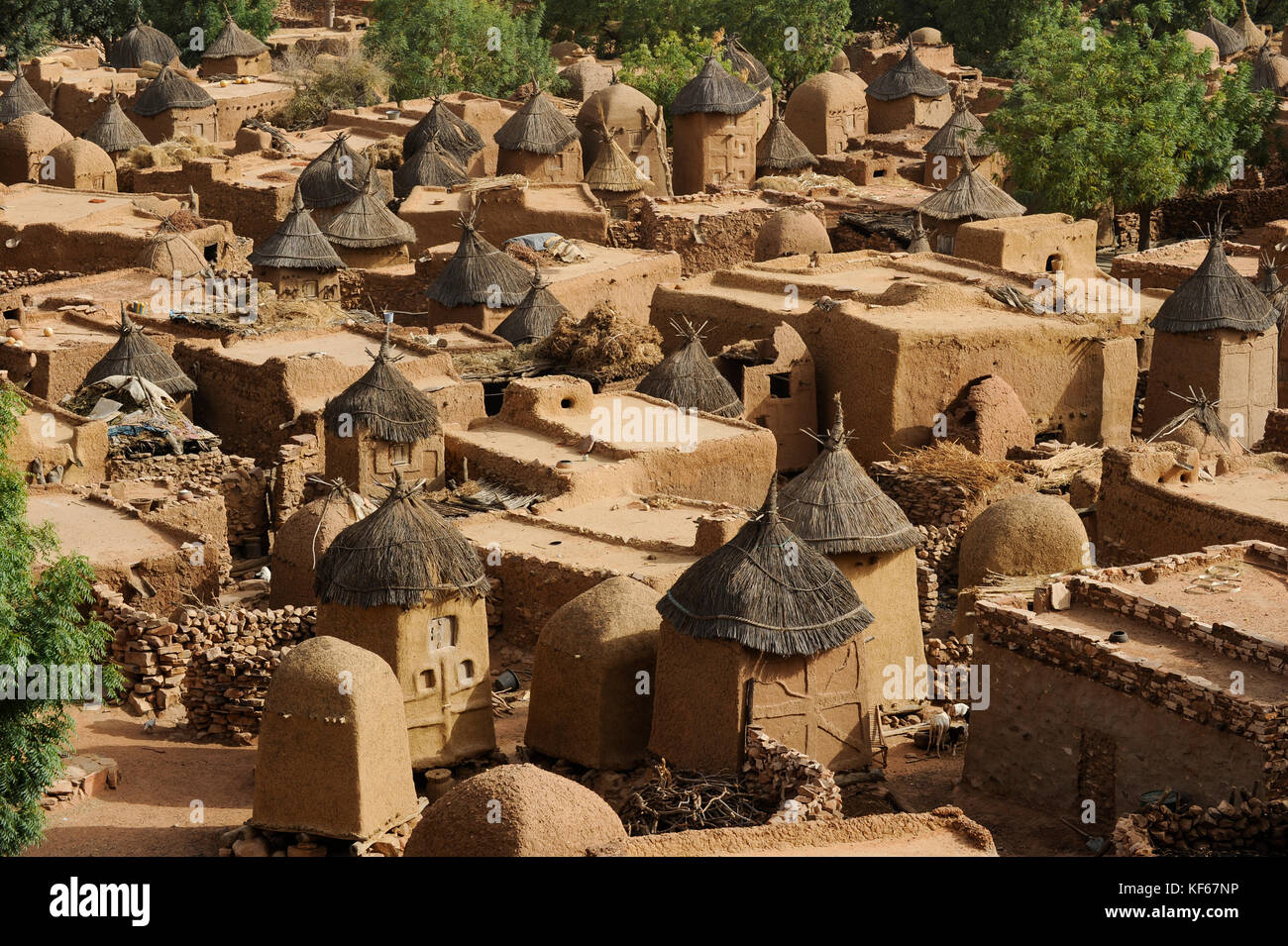 Land der Dogon in Mali, Dogon village Songho mit Ton Architektur an der Falaise die UNESCO Welterbe/MALI, etwa 20 km von Bandiagara südoestlich verlaeuft die rund 200 km lange Falaise, UNESCO-Welterbe, eine teilweise stark erodierte Sandsteinwand bis zu 300m Höhe, hier befinden sich viele Dogon Doerfer im Lehmbau Architektur, Dorf Songho Stockfoto