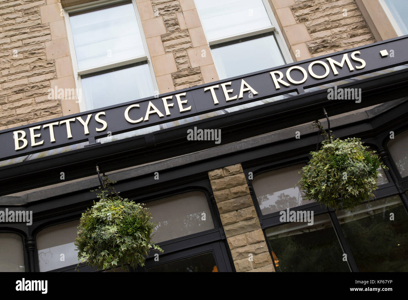 Schild für Bettys Cafe Tea Rooms in Harrogate, England. Das Café wurde 1919 eröffnet. Stockfoto