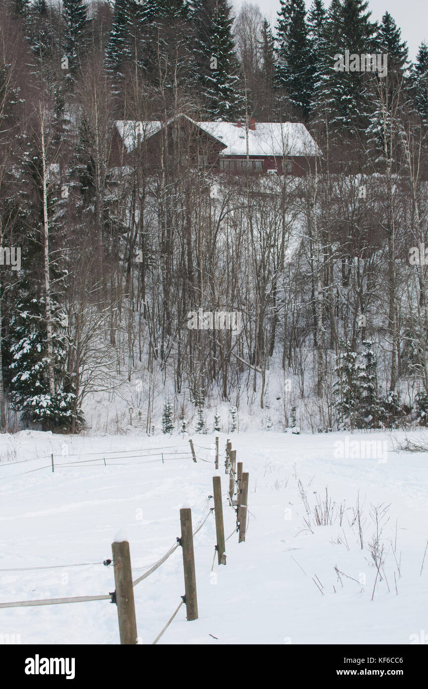 Haus im Wald im Winter Oslo Norwegen Stockfoto