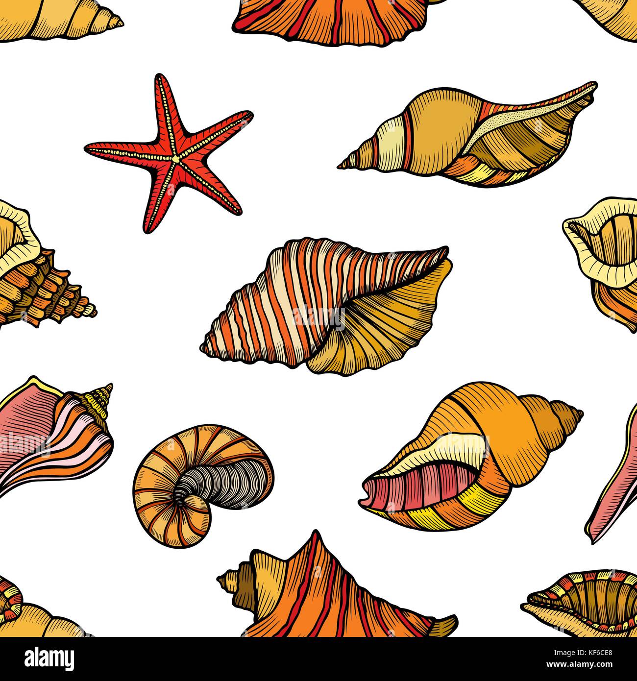 Handgezeichnete Vektorgrafiken - nahtlose Muster von Seashells. marine Hintergrund. Perfekt für Einladungen, Grußkarten, Poster, Drucke, Banner, Stock Vektor