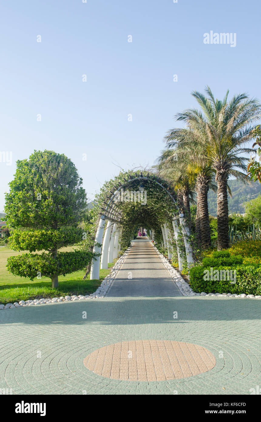 Formgehölze Bäume im Sun Tropical Resort Serigerme Türkei Stockfoto