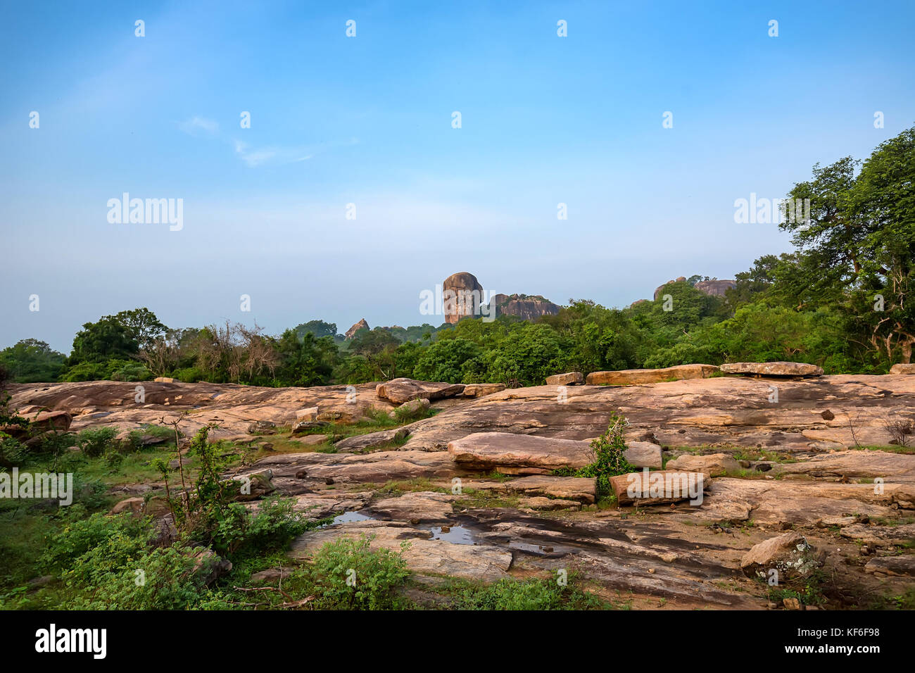 Landschaft Yala National Park, Sri Lanka Stockfoto