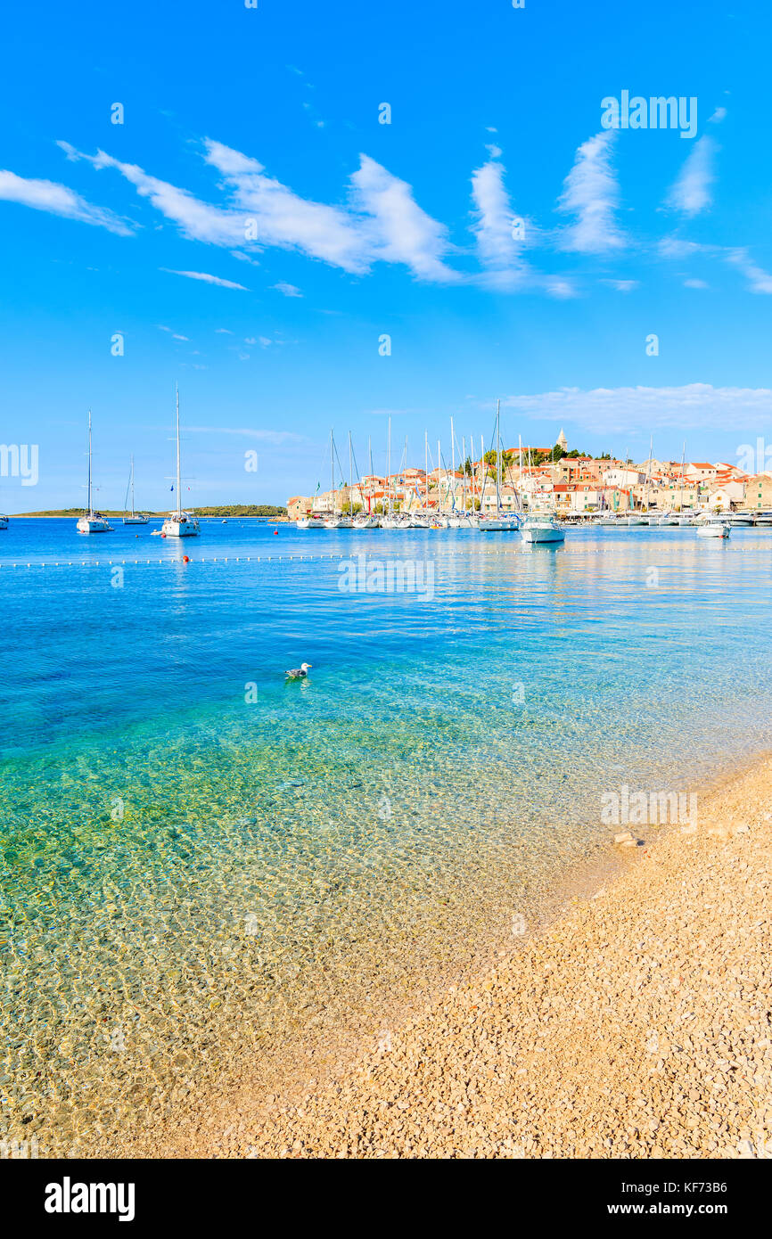 Blick auf den wunderschönen Strand mit kristallklarem, türkisfarbenem Wasser in Sibenik, Dalmatien, Kroatien Stockfoto