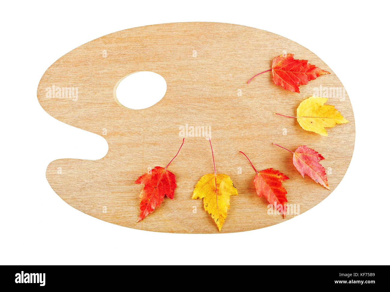 Herbst Herbst Farben artist Palette mit roten und gelben Blätter auf weißem Hintergrund. nach oben anzeigen. Stockfoto