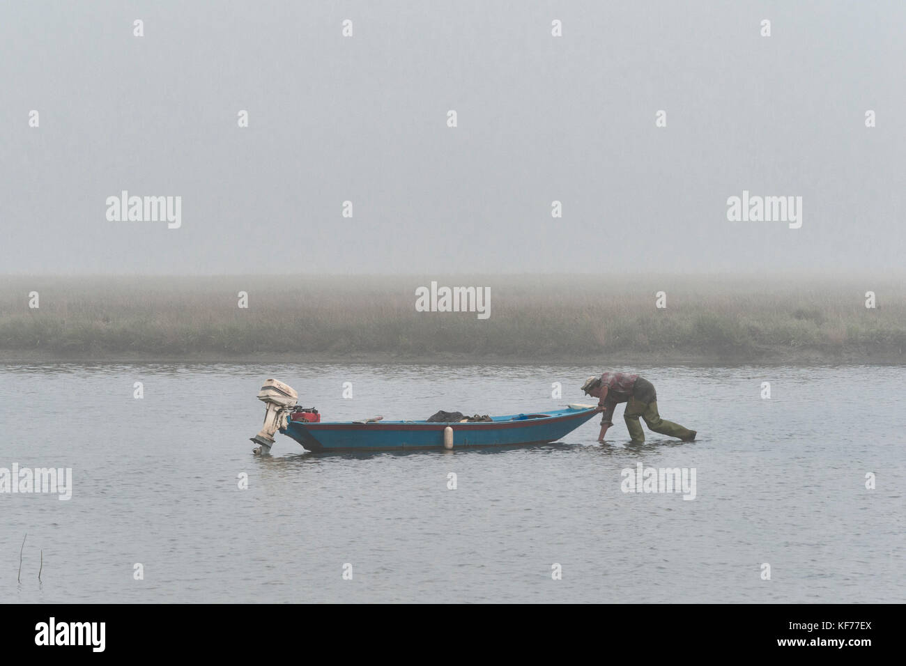 Venedig, Italien. Ein Fischer sammeln Muscheln im flachen Wasser der Lagune von Venedig in der Dämmerung auf einem nebligen Morgen Stockfoto