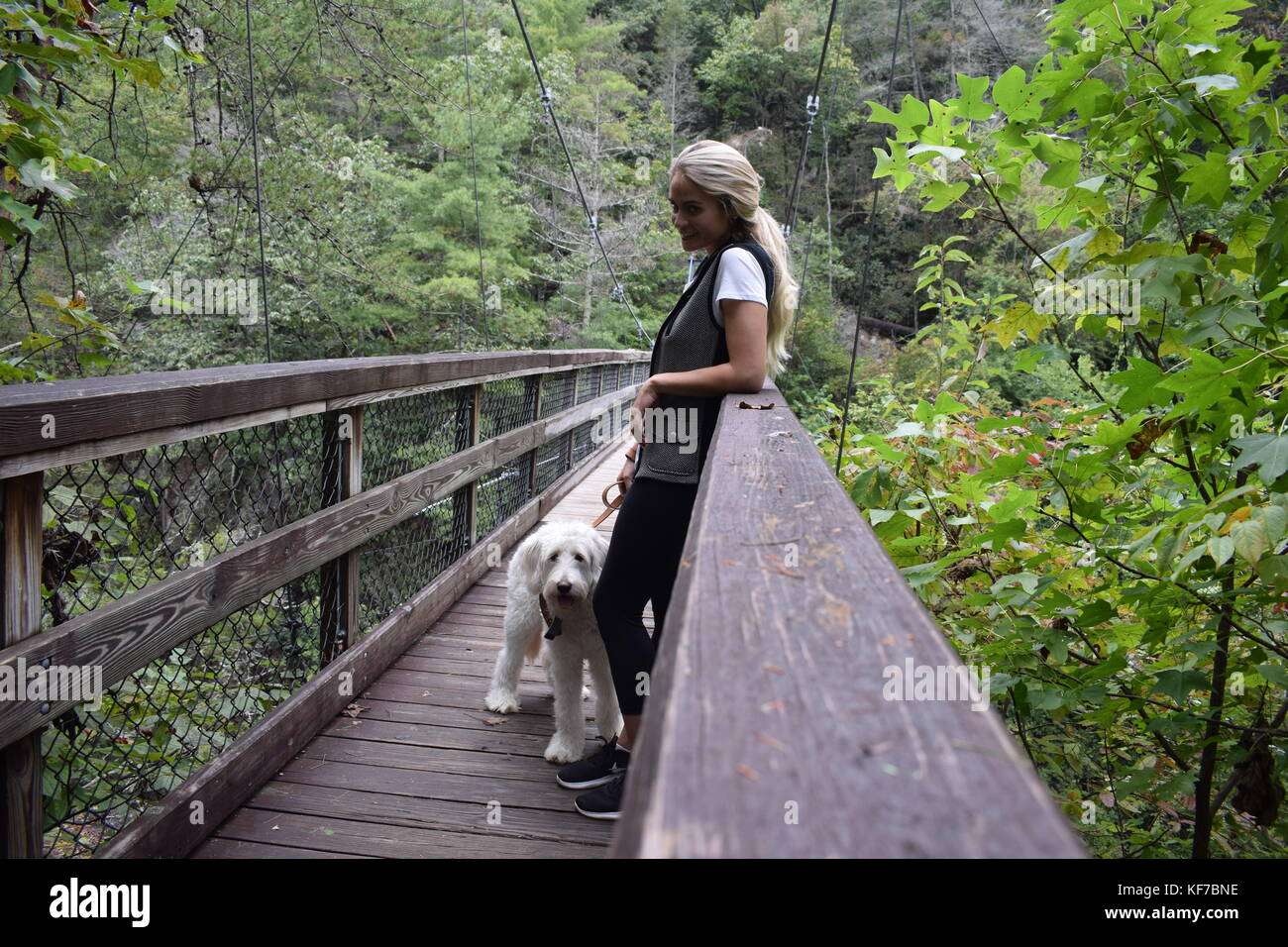 Ein Spaziergang im Wald bei Tallulah Gorge State Park. Stockfoto