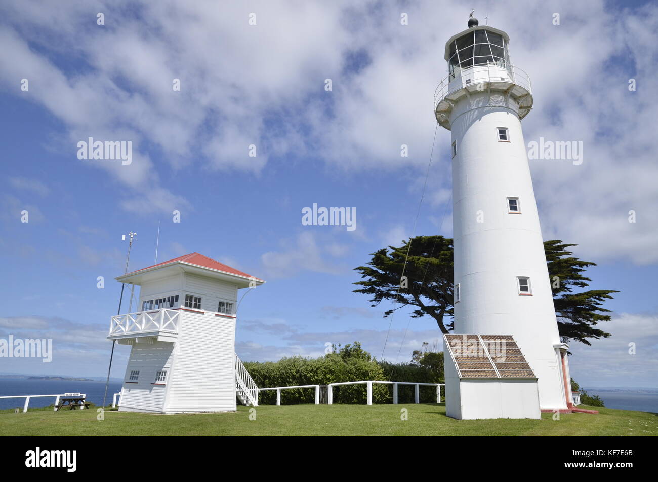 Der Leuchtturm auf dem Vogelschutzgebiet und offenen Natur Reserve von Tiritiri Matangi im Hauraki Gulf, nördlich von Auckland auf der Nordinsel Neuseelands Stockfoto