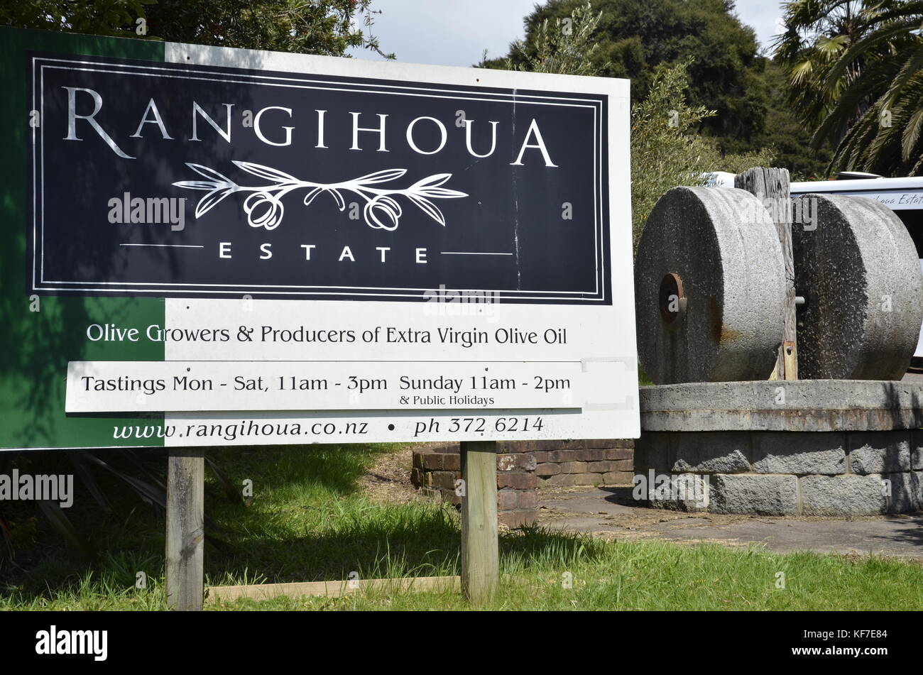 Die Rangihoua Immobilien, der Hersteller von Premium Olivenöl auf Waiheke Island vor Auckland in Neuseeland Stockfoto