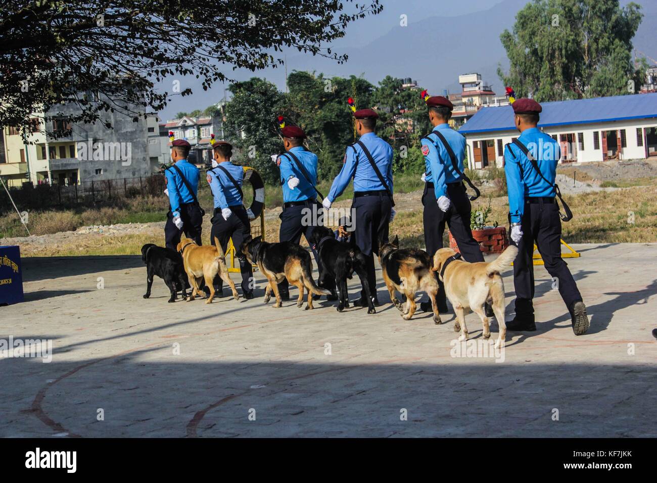 Noemie repetto/le pictorium - tihar Festival in Nepal, Kathmandu. Anbetung der Hunde in die Ausbildung Polizei Schule Hunde. - 19/10/2017 - Nepal/Kathmandu - tihar Festival in Nepal, Kathmandu. Anbetung der Hunde bei der Ausbildung der Hunde Schule. Am besten Diensthund Preisverleihung für die nepalesische Polizei, sowie Ruhestand Zeremonie. Da das Festival der Lichter auch stattfand, die Polizei und die Bürger in den Hund Anbetung als Tradition diktiert teilgenommen. Stockfoto