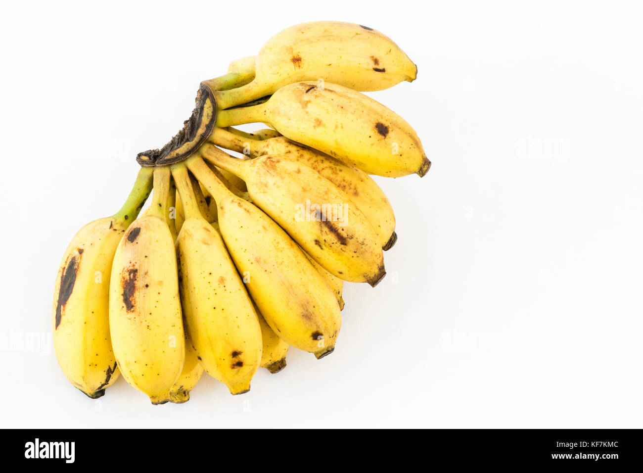 Ein paar gereifte chakkarakeli Banane Obst auf weißem Hintergrund Stockfoto
