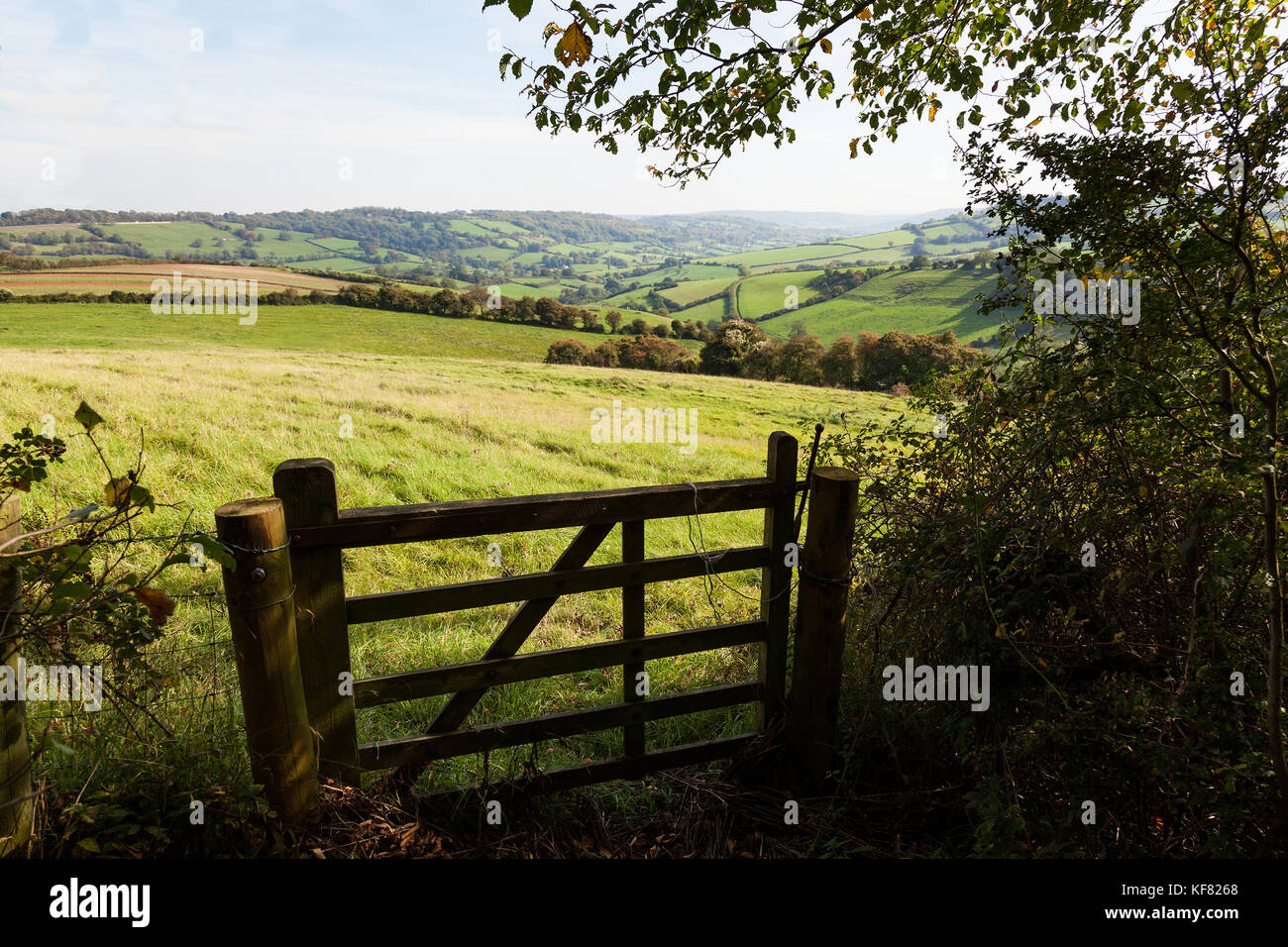 Blick auf einer Farm Gate in üppige grüne Landschaft. Stockfoto
