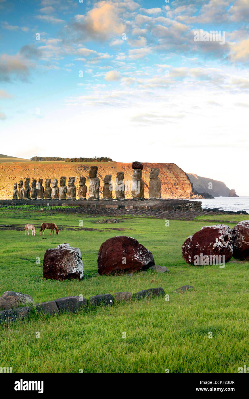 Easter Island, Chile, Isla de Pascua, Rapa Nui, Pferde vor der Moai Statuen am Ahu Tongariki Ort am Fuß des Vulkan poike Weiden Stockfoto Easter Island, Chile, Isla de Pascua, Rapa Nui, Pferde vor der Moai Statuen am Ahu Tongariki Ort am Fuß des Vulkan poike Weiden Stockfoto
