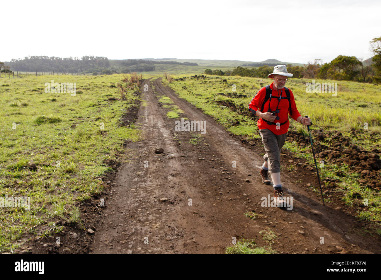 Easter Island, Chile, Isla de Pascua, Rapa Nui, Wanderer die Landschaft in der Nähe der Ahu akahanga moai Website erkunden Stockfoto Easter Island, Chile, Isla de Pascua, Rapa Nui, Wanderer die Landschaft in der Nähe der Ahu akahanga moai Website erkunden Stockfoto