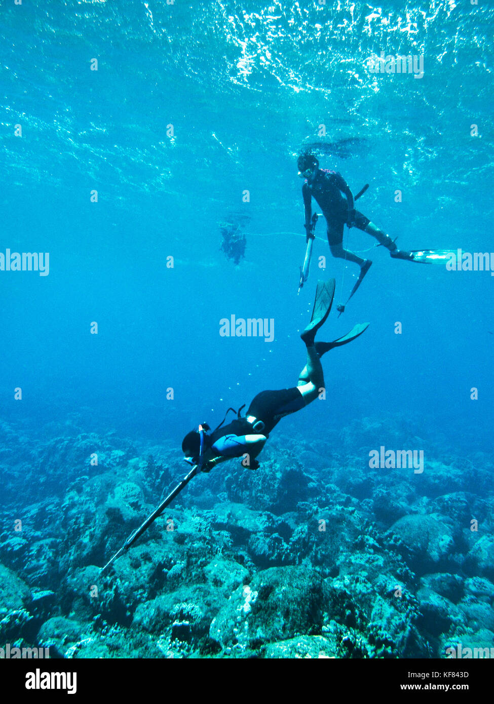 Easter Island, Chile, Isla de Pascua, Rapa Nui, freitauchen und Unterwasserjagd auf der Basis von poike, einem von drei erloschenen Vulkanen, rapa Stockfoto