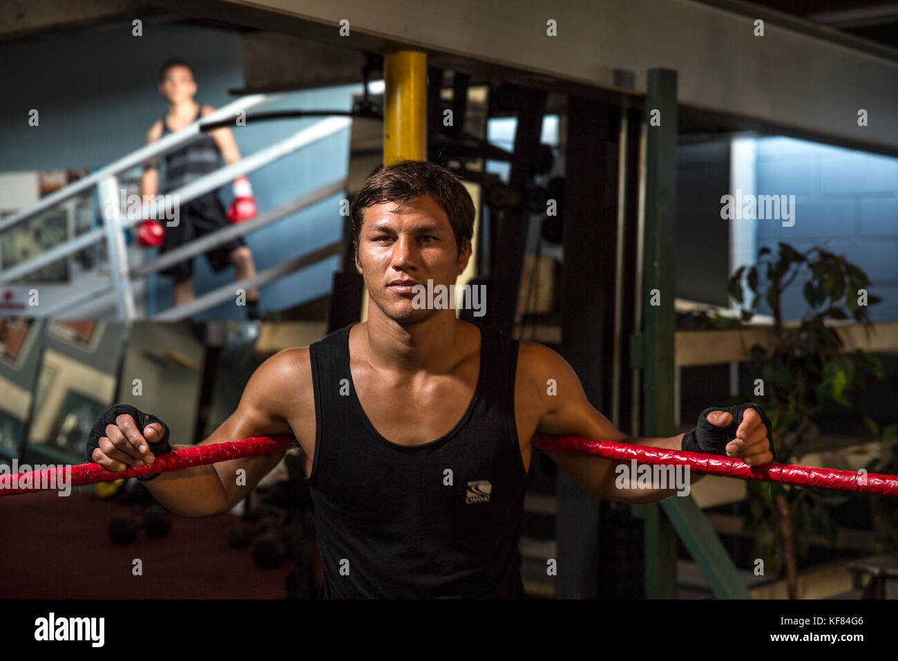 Usa, Oahu, Hawaii, Portrait von Mma Mixed Martial Arts Ultimate Fighter Lowen tynanes bei seinem Training Gym in Honolulu. Stockfoto