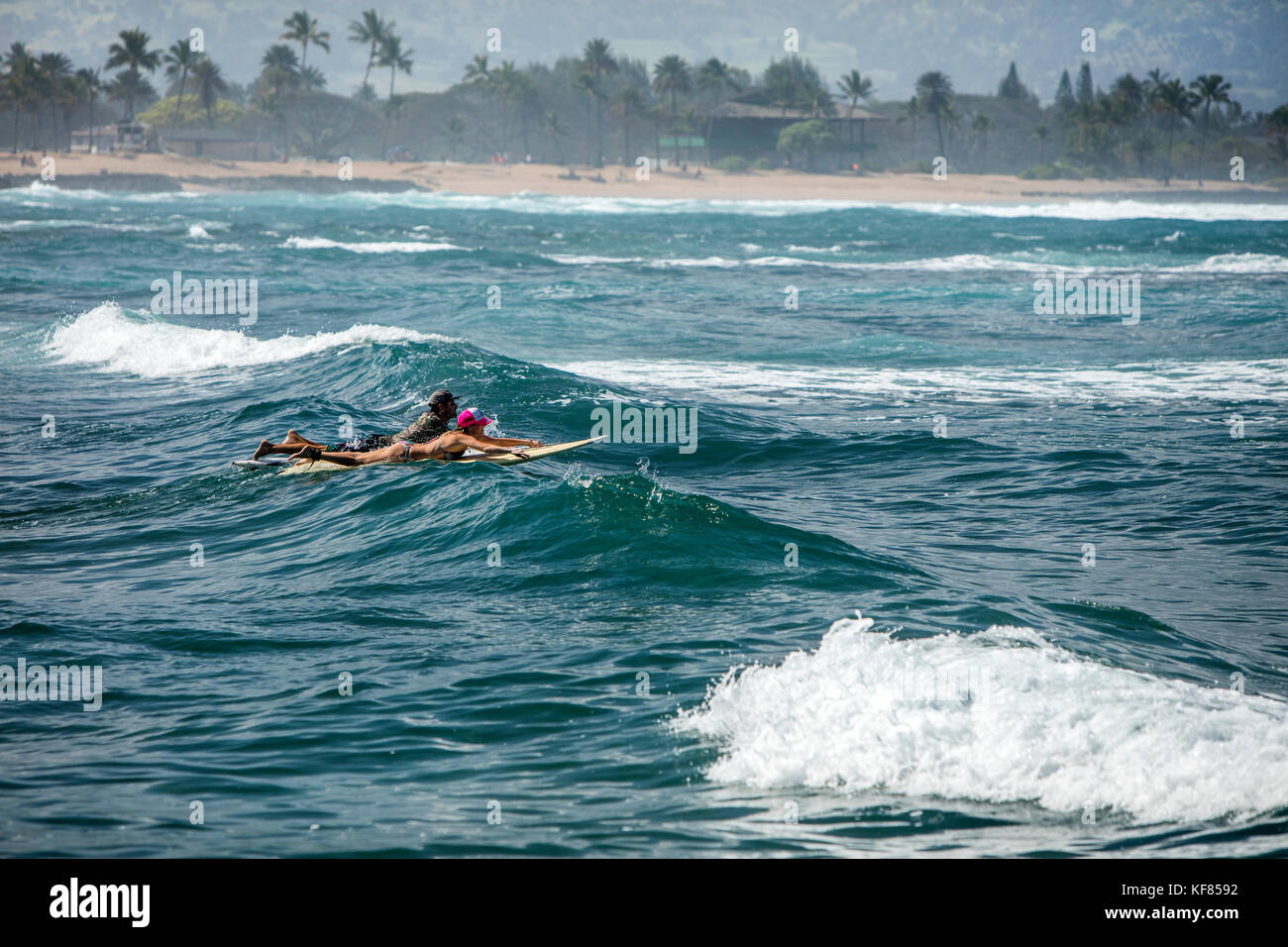 Hawaii, Oahu, North Shore, Personen mit Surfen am puaena Point Beach Park Stockfoto