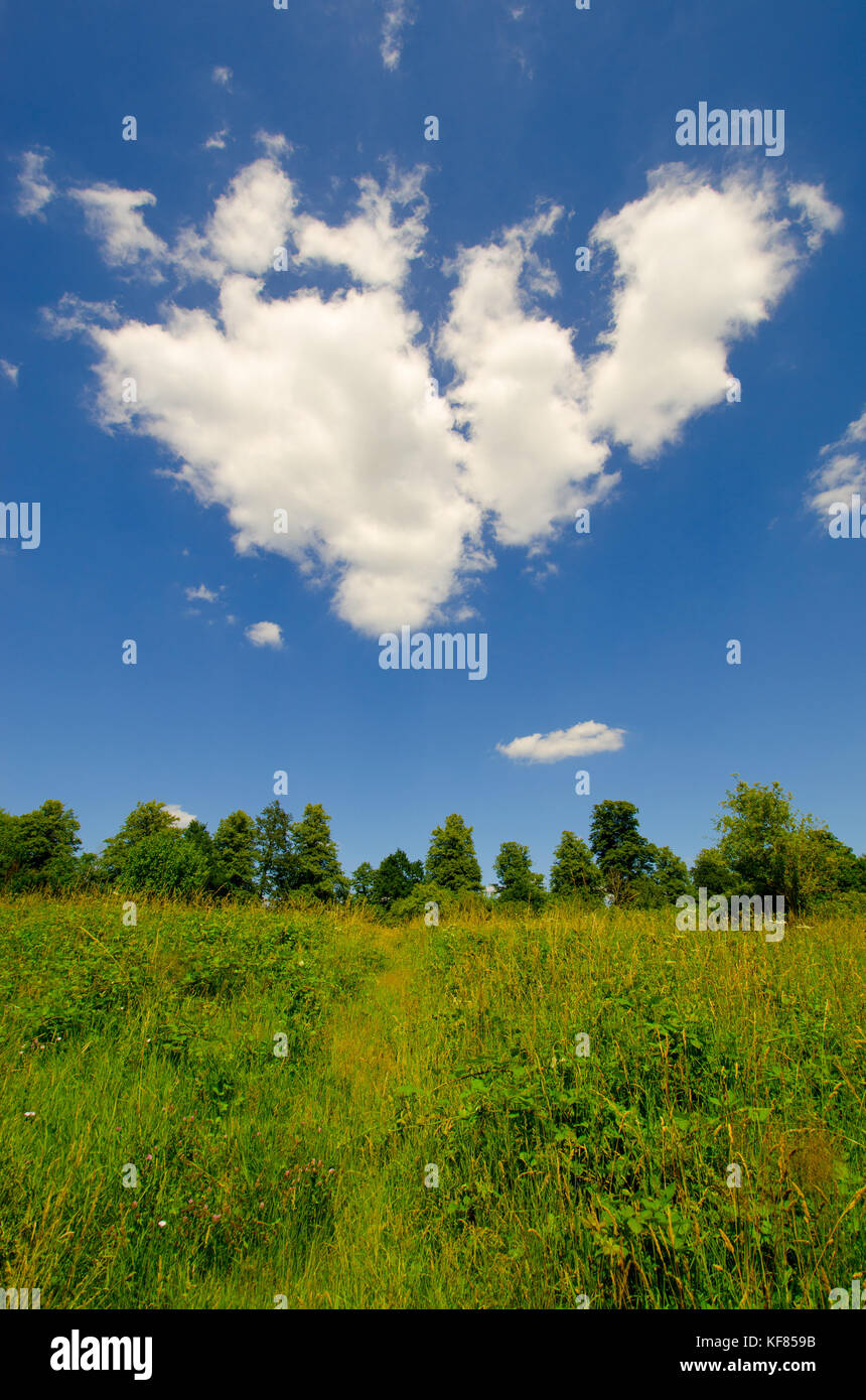 V-förmige Kumuluswolkenbildung über einem Feld in Kent, England Stockfoto