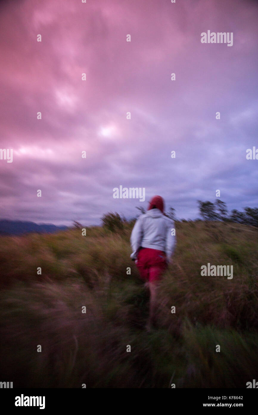 Indonesien, Flores, bajawa, Porträt des dwi widodo oben wolobobo Hill Stockfoto