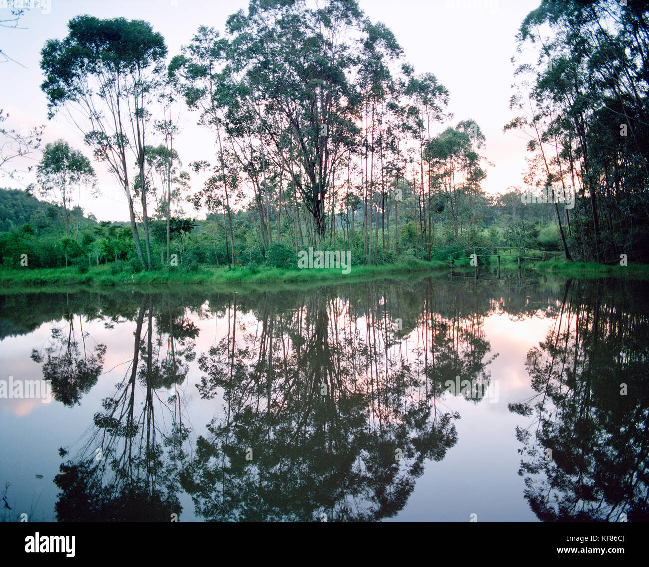 MADAGASKAR, Bäume, die auf dem See reflektieren, die Insel Vakona Stockfoto