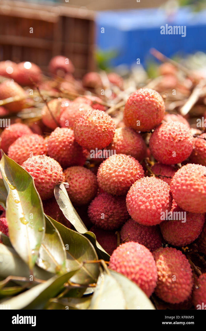 Mauritius, flacq, die größte Open-Air-Markt in Mauritius, flacq Markt, litschi Obst zum Verkauf Stockfoto