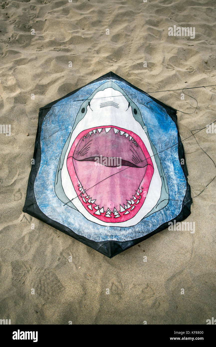 Usa, Washington State, Long Beach Halbinsel, international kite Festival, einen großen weißen Hai Drachen in den Sand, die Drachen von Kelly bruland Stockfoto