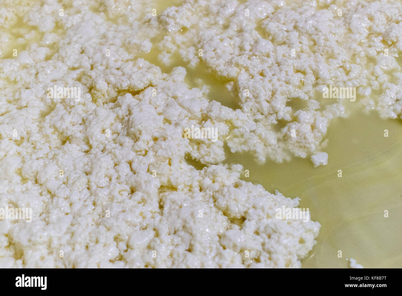 Weißer Käse, zeigt die Käse Quark Reifung und Warten abgelassen werden Stockfoto