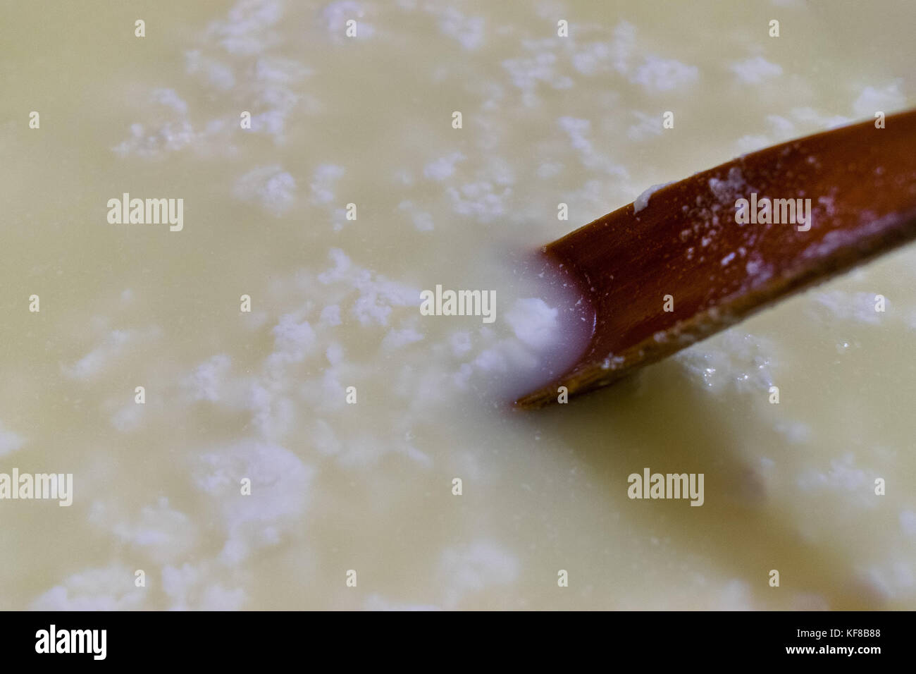 Holzlöffel mischen weißer Käse Quark, bei der Herstellung von Käse, während der Reifung Stockfoto